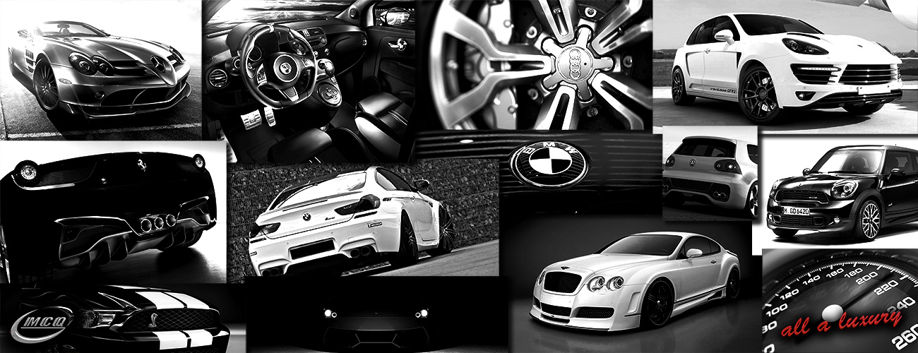 COCHES DE LUJO, COCHES DE IMPORTACION, COCHES DE GAMA ALTA 